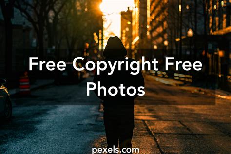 pexels.com copyright free video download|Banco de Vídeos e Clipes